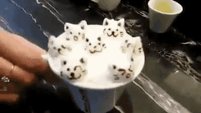 Cats
