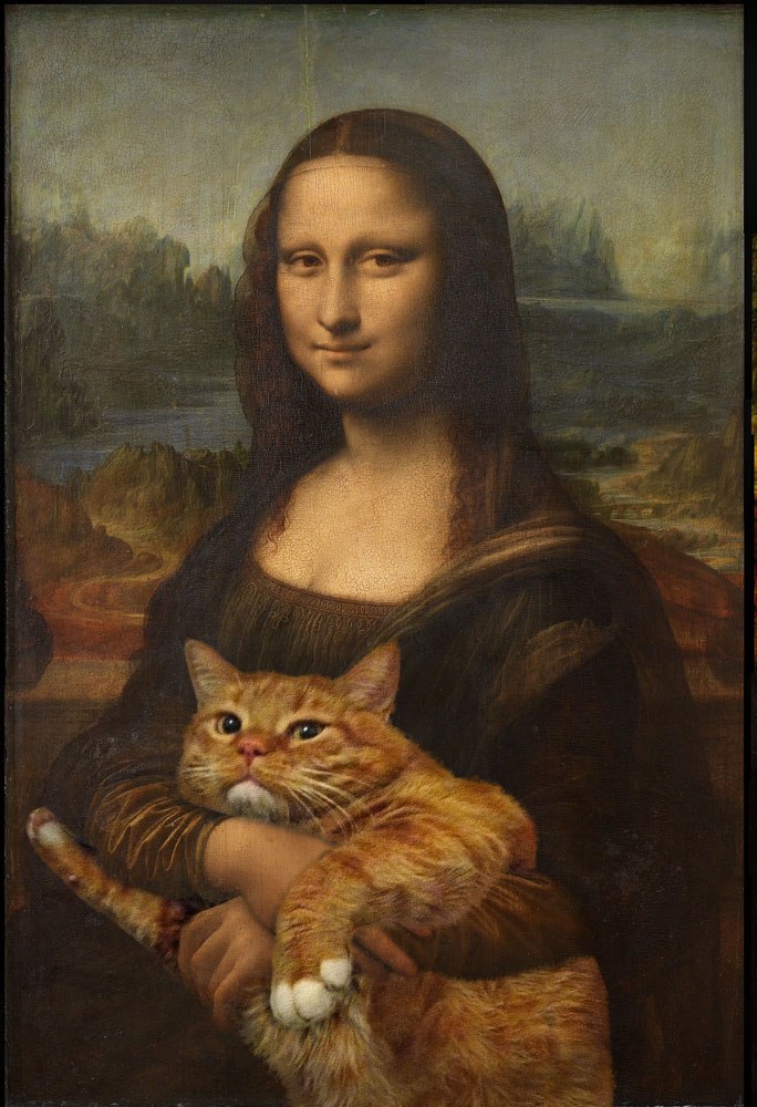 Cats