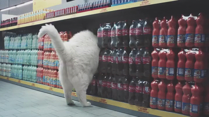 Cats