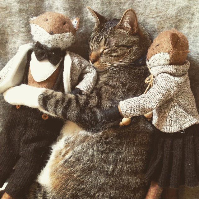Cats