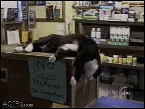 Cats
