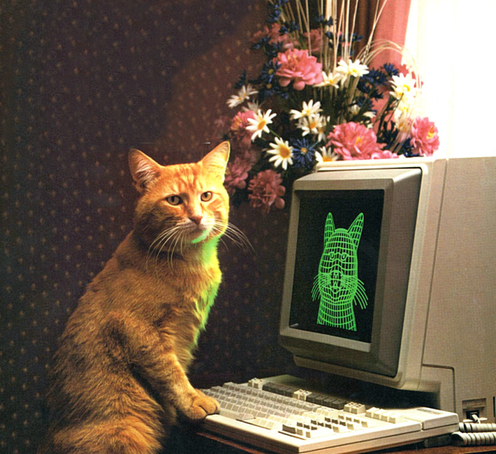 Cats