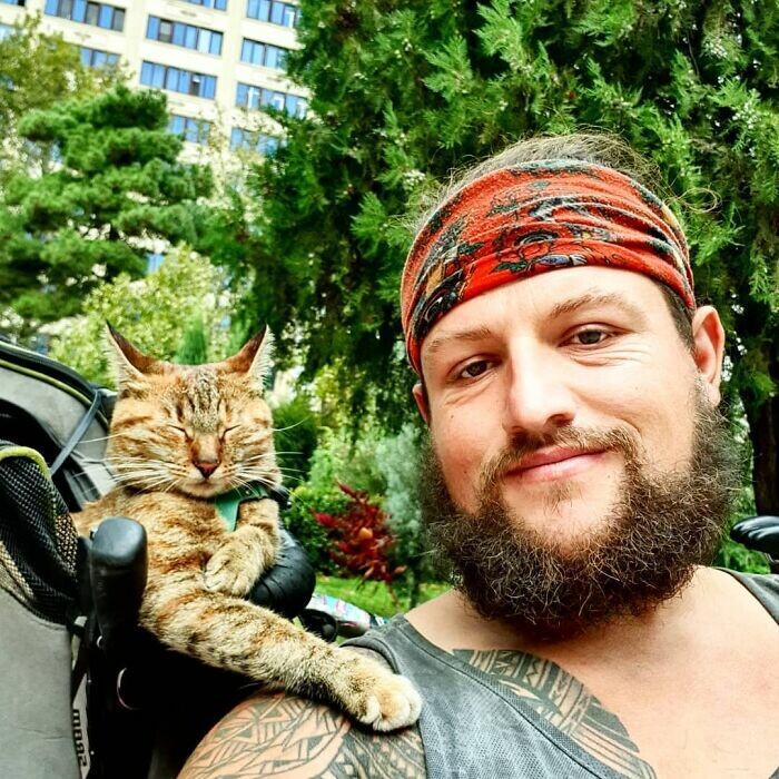 Cats