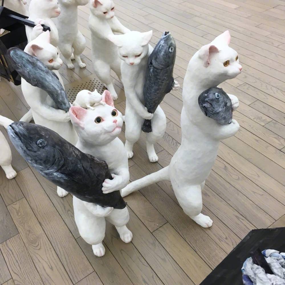 Cats