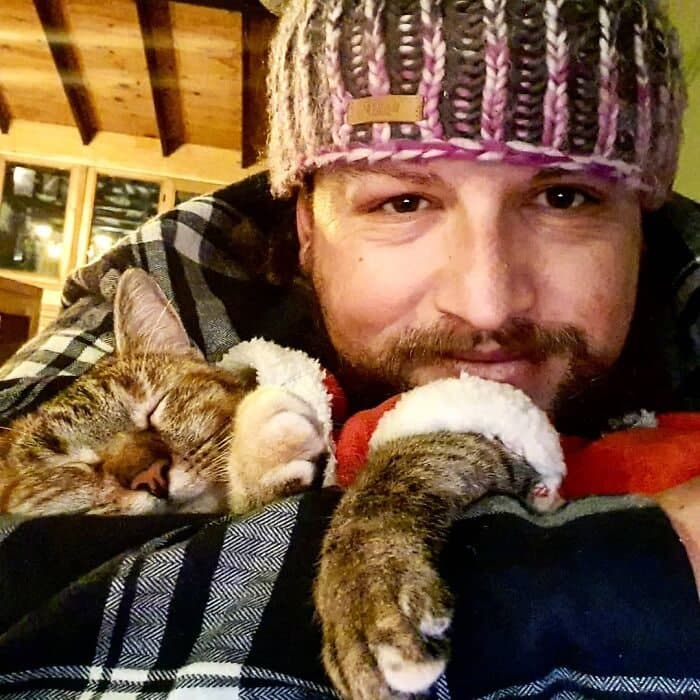 Cats
