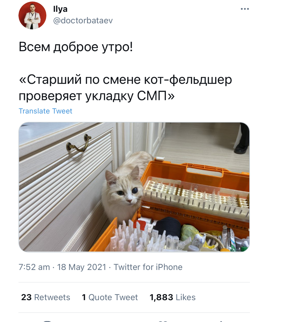 Cats