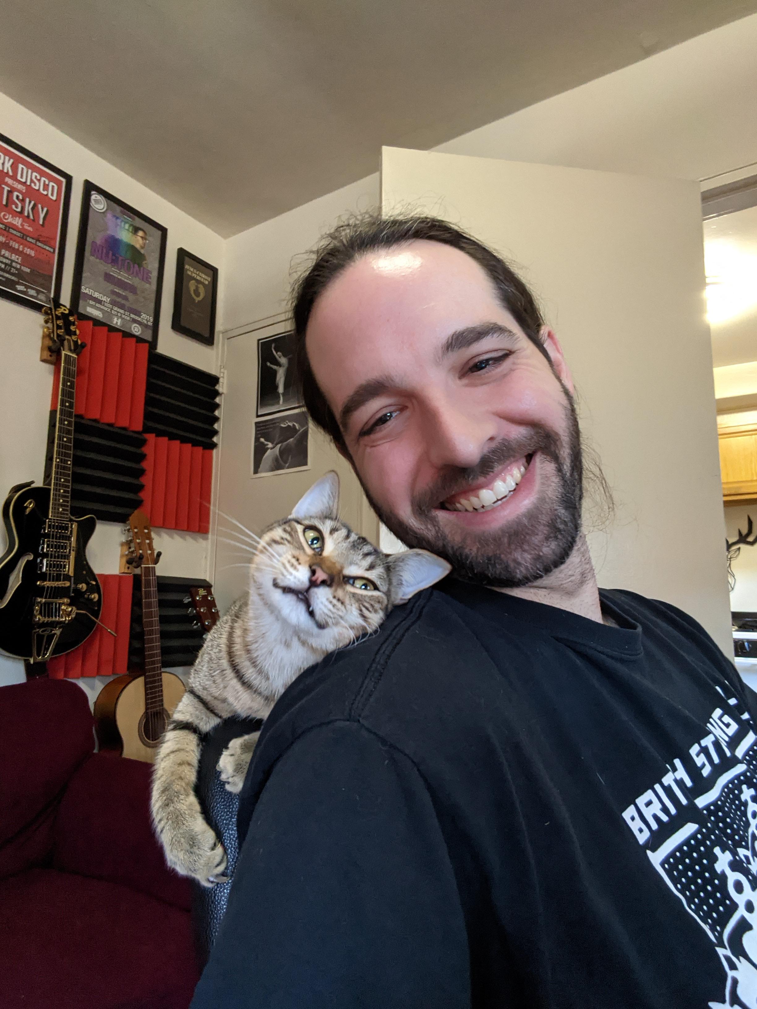 Cats