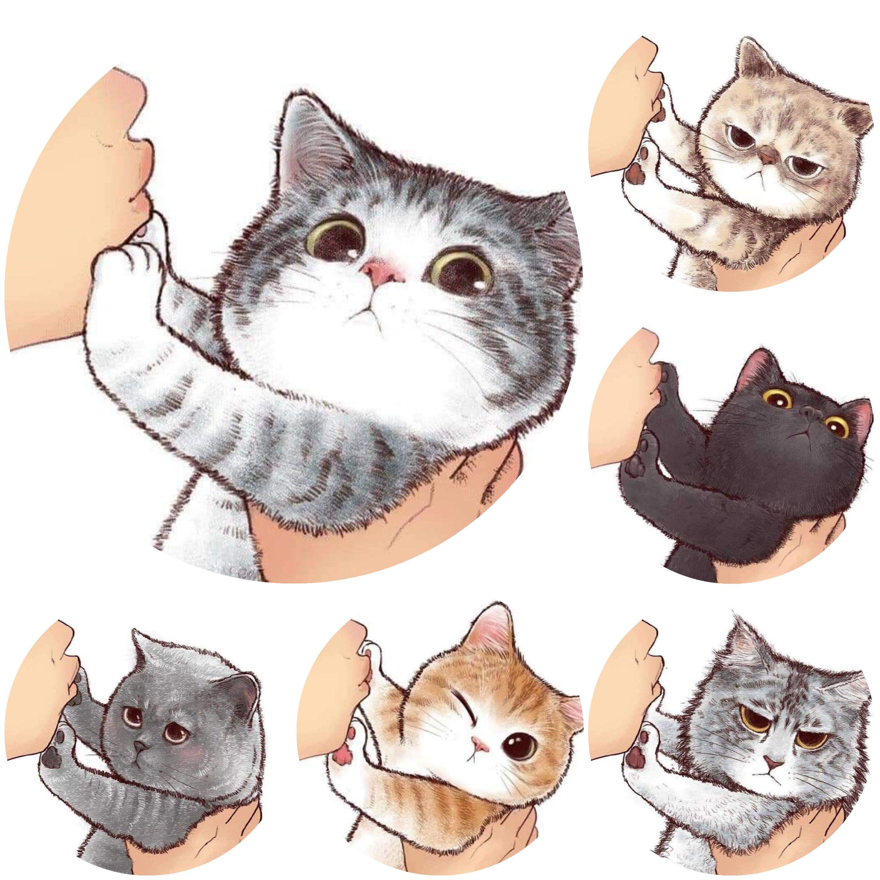 Cats
