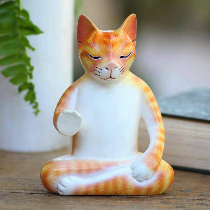 Cats