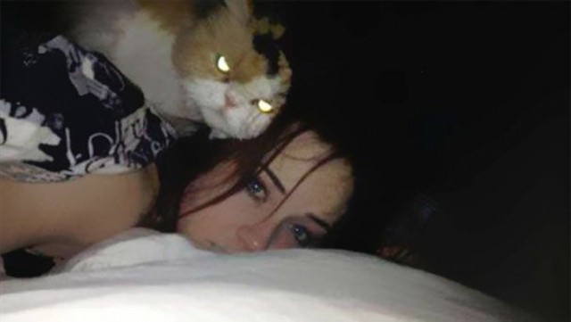 Cats
