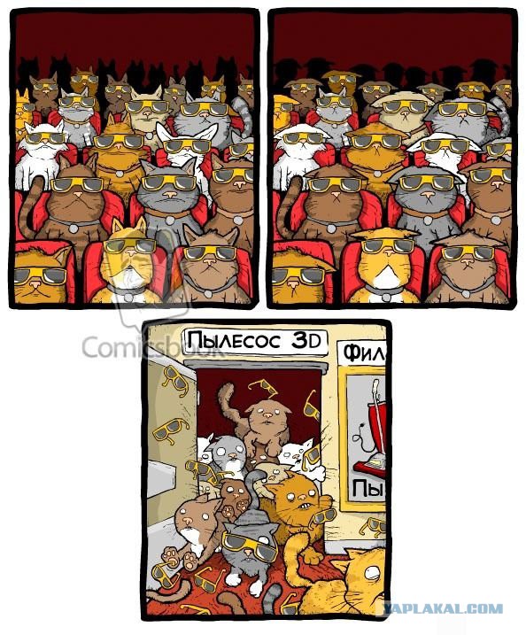 Cats
