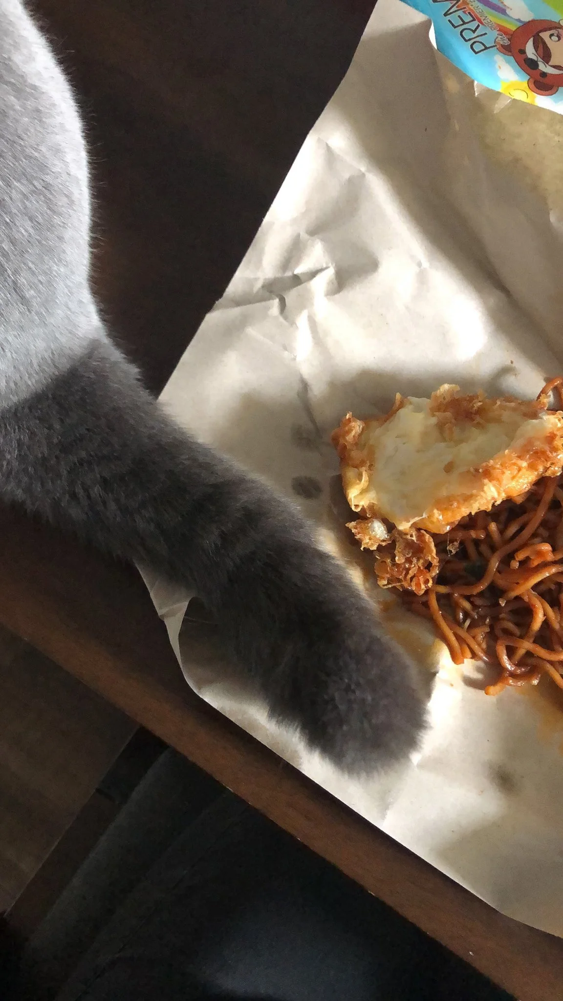 Cats