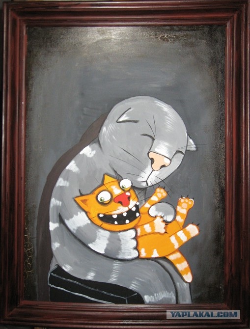 Cats