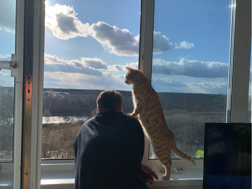 Cats